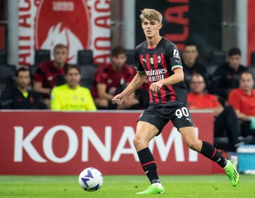 金与中外球 金与中外球