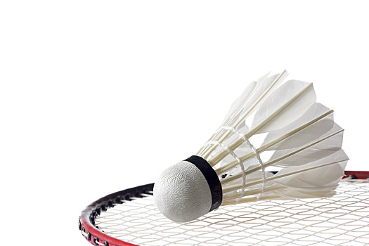 吴金贵若能 吴金贵若能